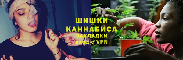 индика Каменногорск