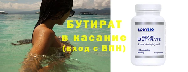 индика Каменногорск