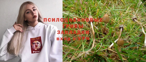 не бодяженный Инта