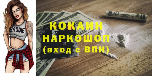 индика Каменногорск