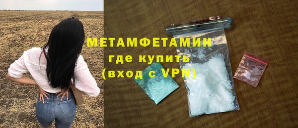 индика Каменногорск