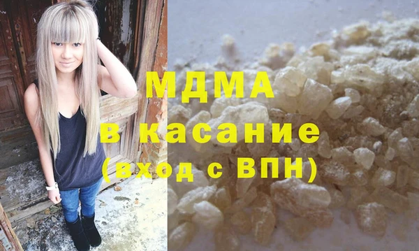 индика Каменногорск