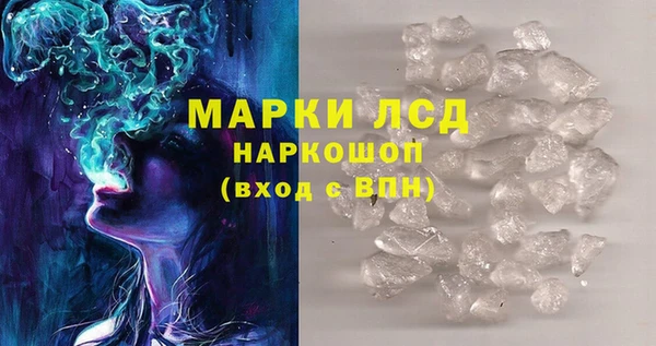 индика Каменногорск