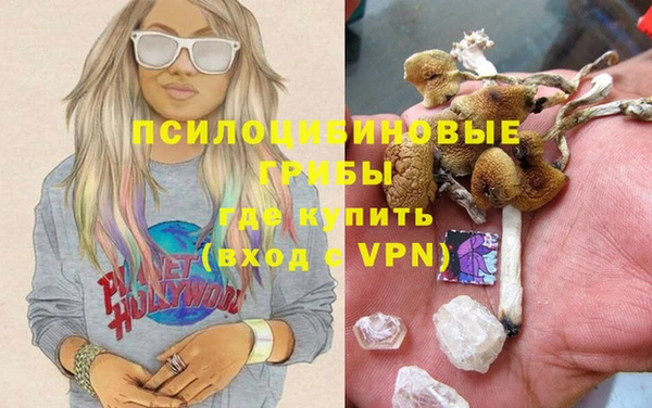 бутират Инсар