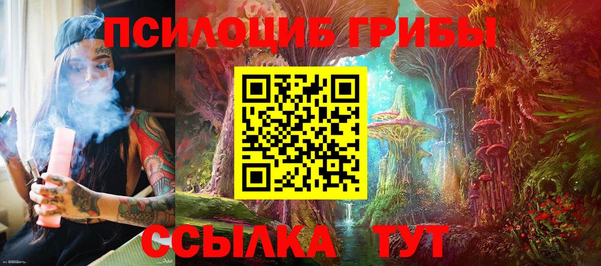 Березники  Галлюциногенные грибы Cubensis  Вход с VPN 